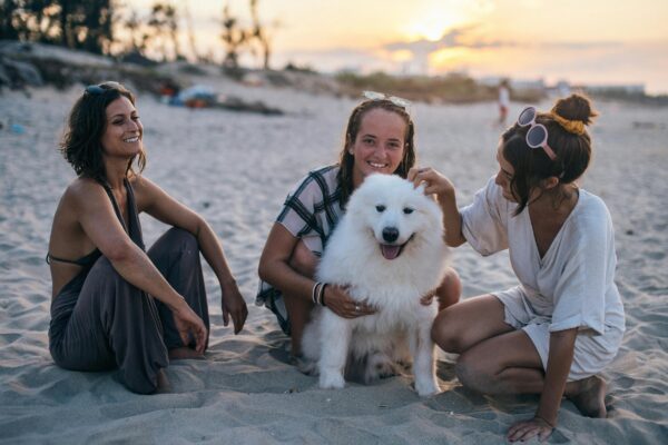 friend on the sand with a dog
